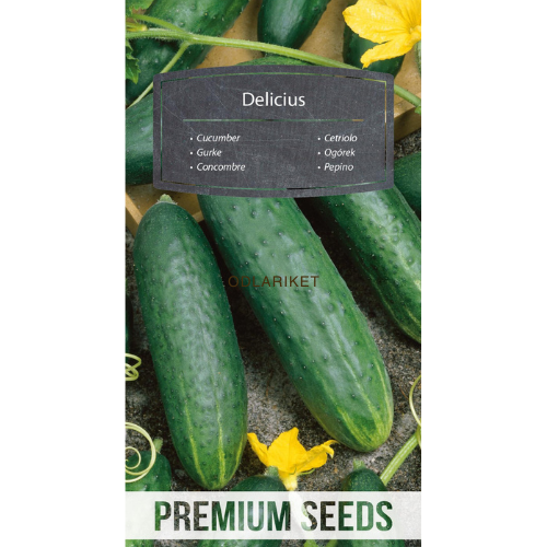Cucumber - Delicius - 200 seeds