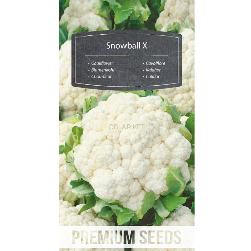 Blomkål – Snowball X - 270 frön