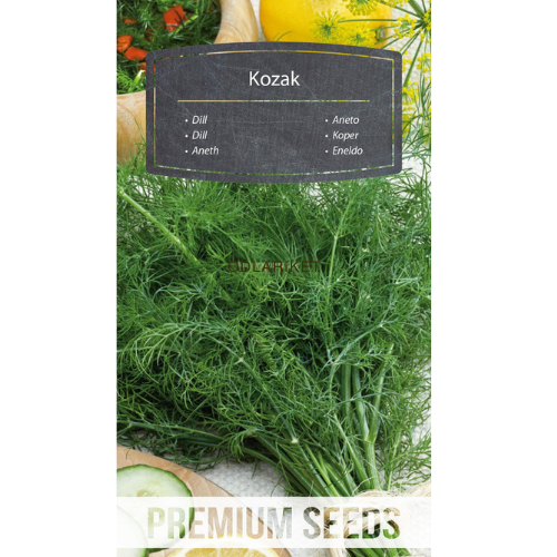 Dill - Kozak - 3200 seeds.