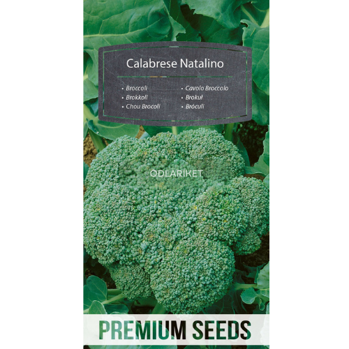 Broccoli – Calabrese Natalino - 270 seeds