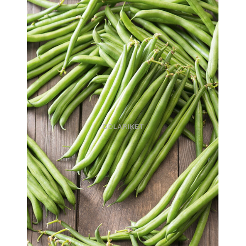 Dwarf Bean - Ferarri