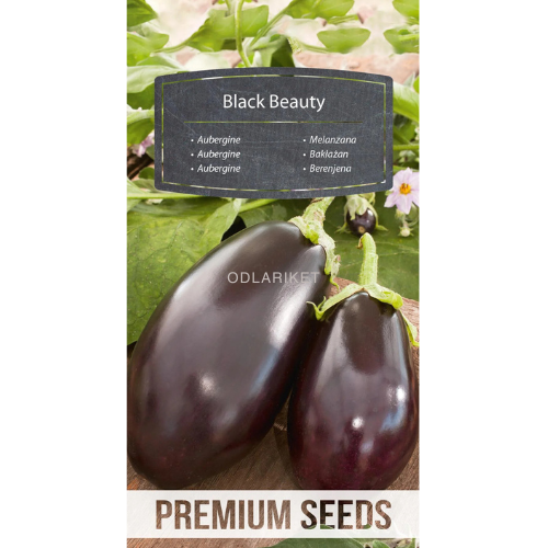 Eggplant – Black Beauty - 210 seeds
