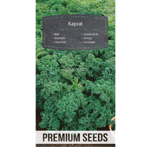 Kale - Kapral - 250 seeds