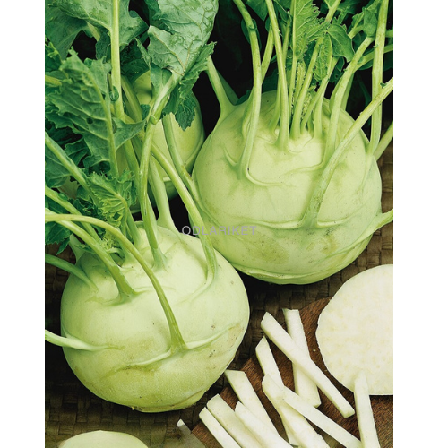 Kohlrabi - Giant - 500 seeds