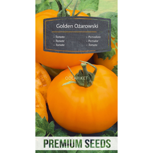 Tomato - Golden Ozarowski