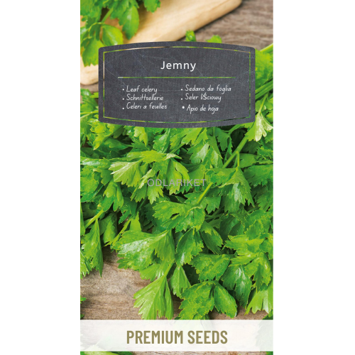 Celery - Jemny - 360 seeds