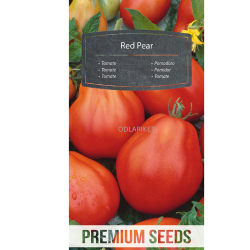 Tomato - Red Pear - 50 seeds