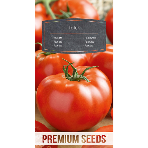 steak tomato - Tolek