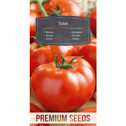 steak tomato - Tolek