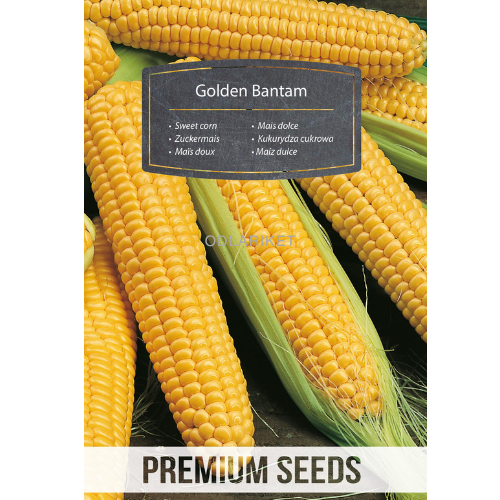 Sweetcorn - Golden Bantam - 100 seeds
