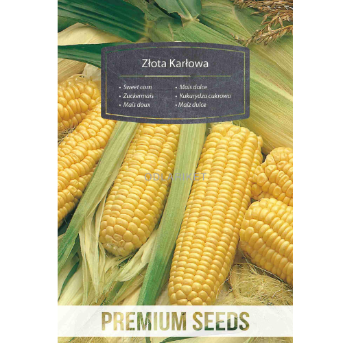 Sweetcorn - Golden Dwarf - 100 seeds