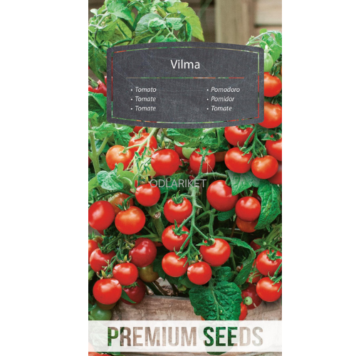 Cherry tomato - Vilma - 80 seeds