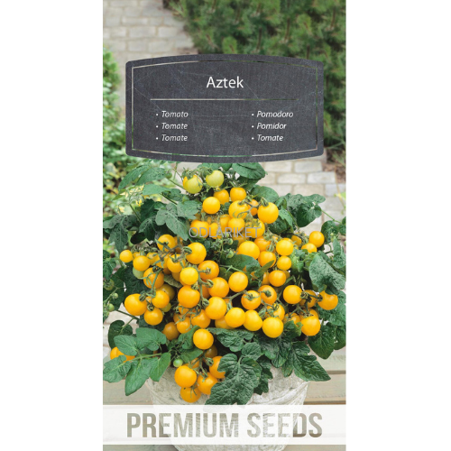 Cherry Tomato - Aztek