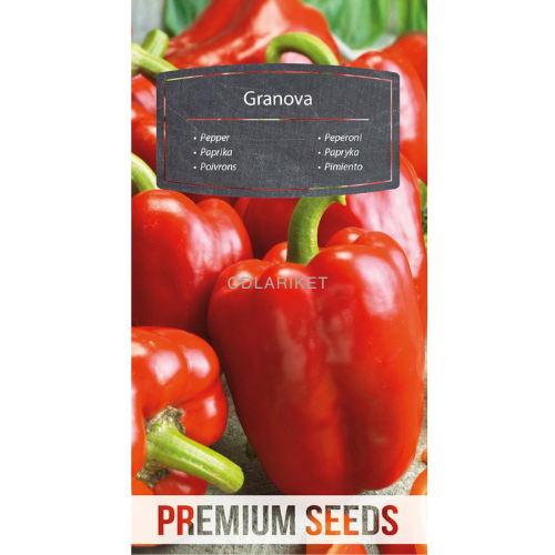 Paprika - Granova - 70 seeds