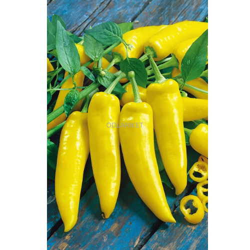 Paprika &