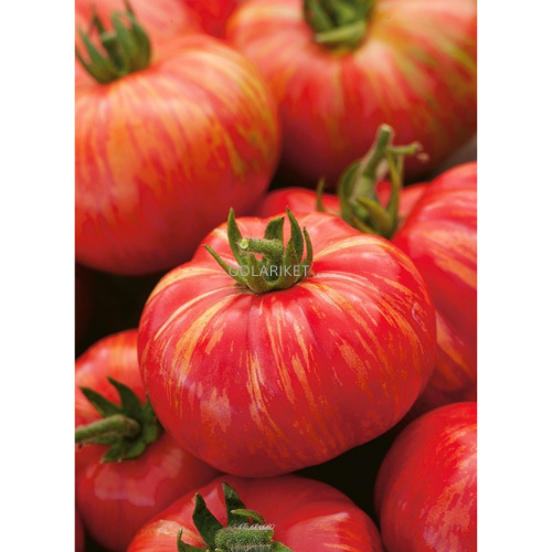 Tomato - Duo - 80 seeds