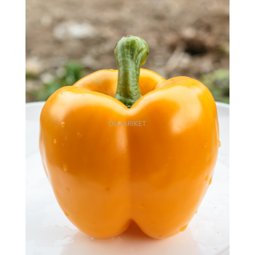 Pepper &