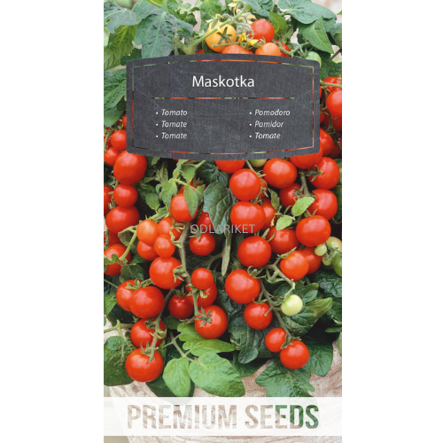 Tomato - Mascot - 200 seeds