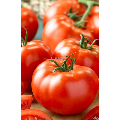 Tomato &
