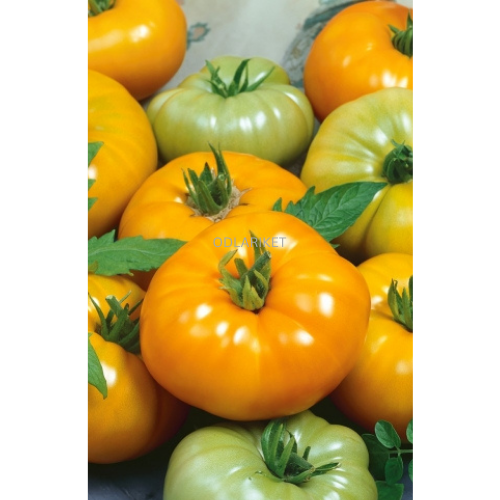 Tomato &