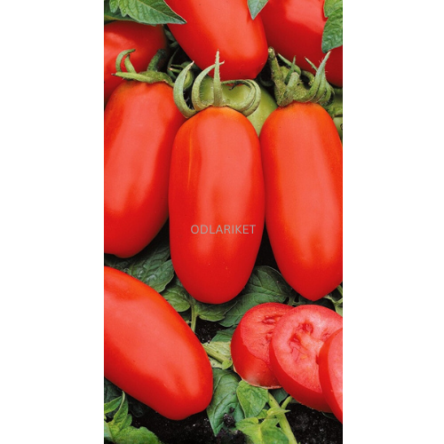Plommontomat - San Marzano 3 - 40 frön