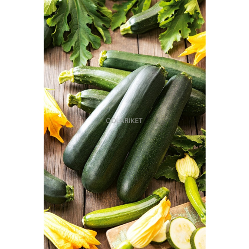 Zucchini ‘Nero di Milano’