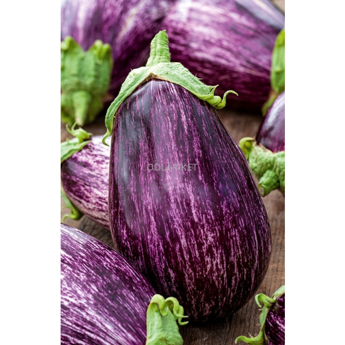 Eggplant &