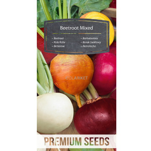 Beetroot – Mix of colorful varieties