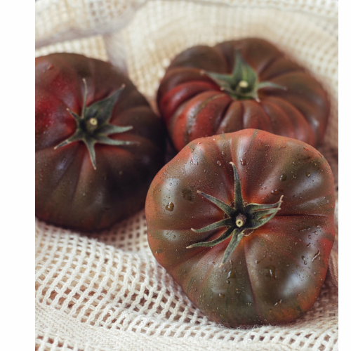 Tomato plant - Cherokee Purple