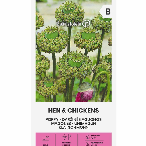 Vallmo - Hen &amp;Chickens