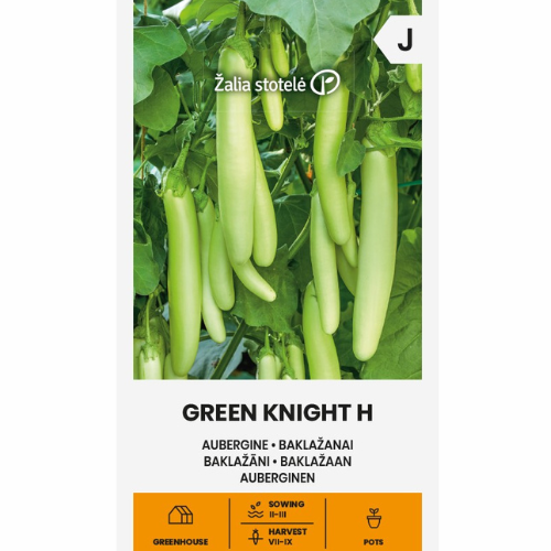 Aubergine - Green Knight