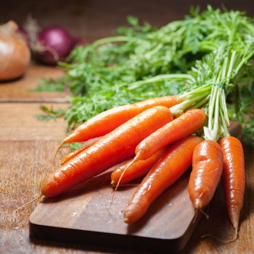 Carrot BERLIKUMER 2 – PERFECTION - 4100 seeds