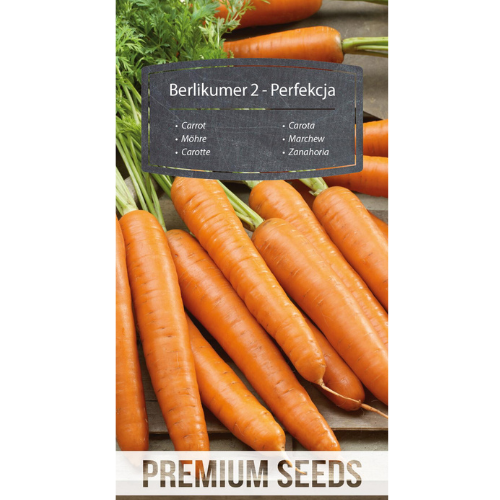 Morot BERLIKUMER 2 – PERFECTION - 4100 frön