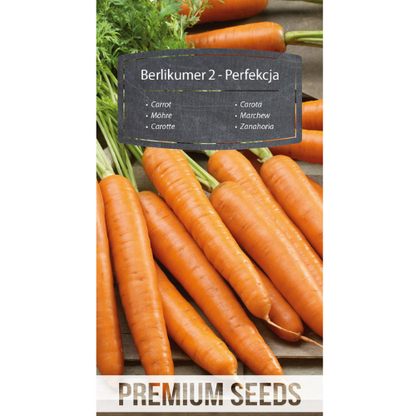 Carrot BERLIKUMER 2 – PERFECTION - 4100 seeds