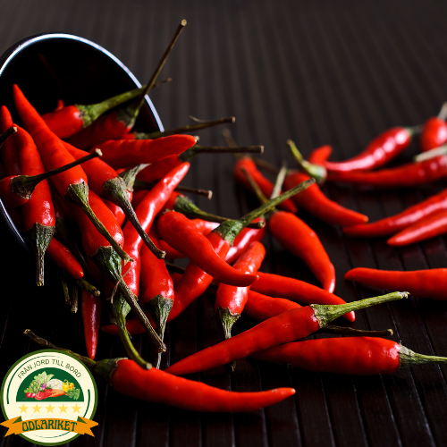 Chilli Pepper - De Cayenne - 65 seeds