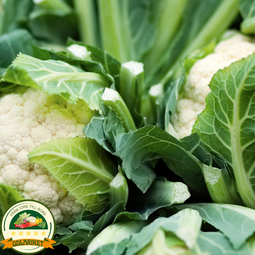 Cauliflower - Bora - 270 seeds