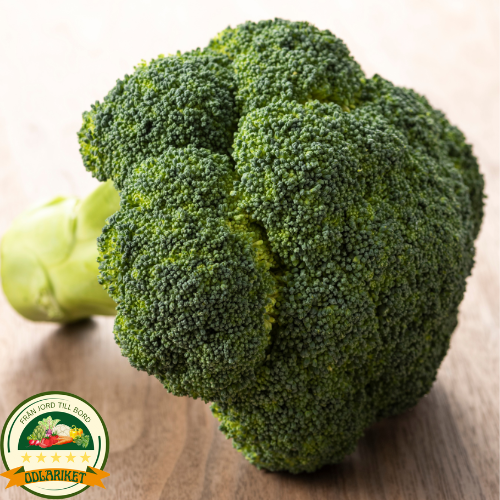 Broccoli – Calabrese Natalino - 270 seeds