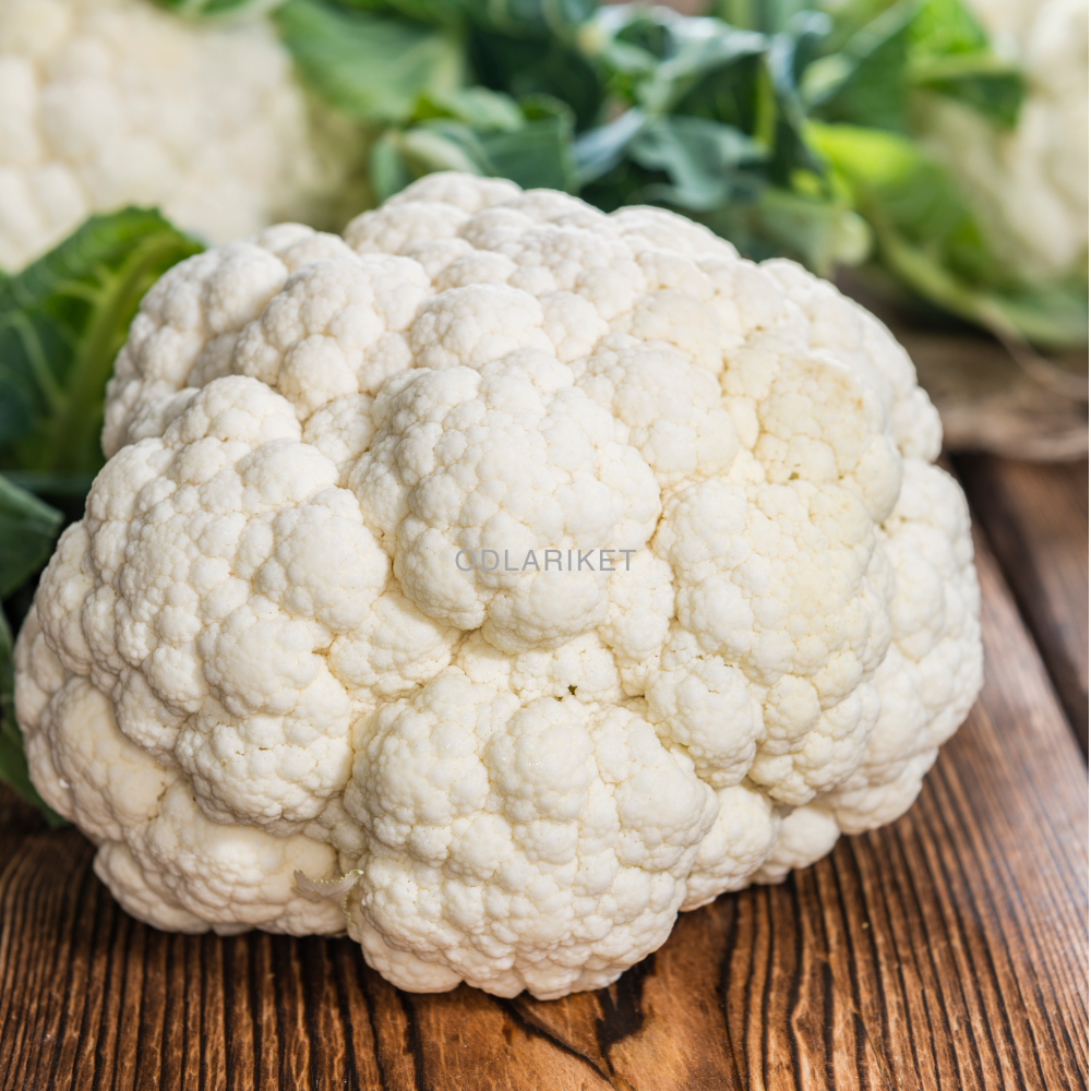 Cauliflower – Delta - 270 seeds