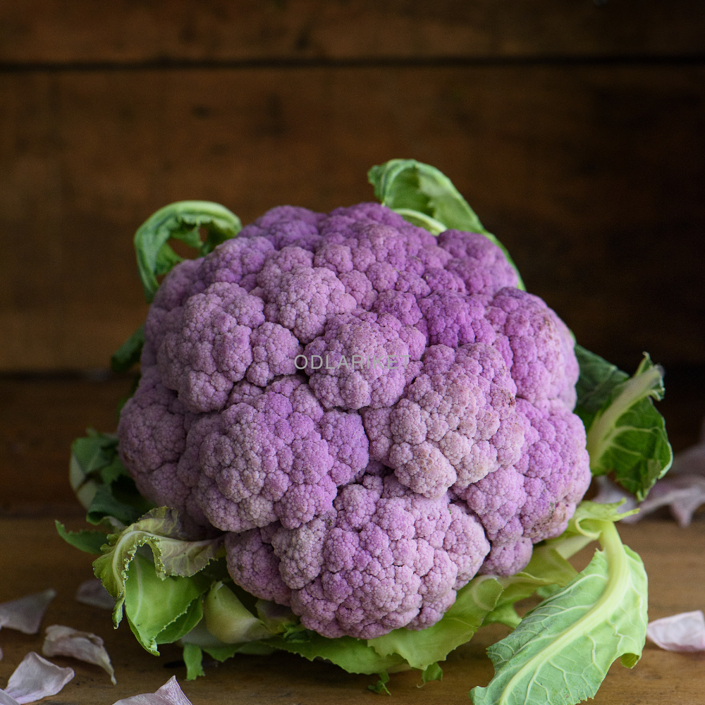 Cauliflower – Di Sicilia Violetto - 54 seeds