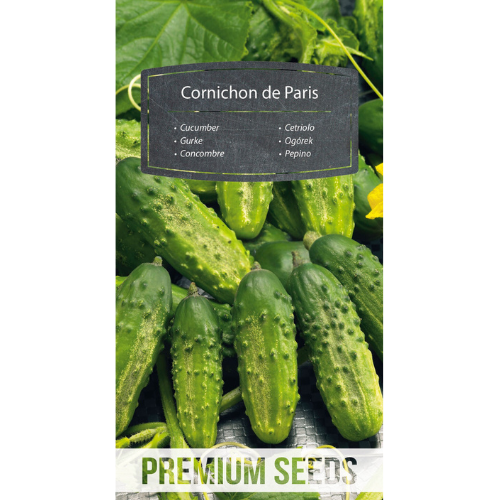 Cucumber - Cornichon de Paris - 70 seeds