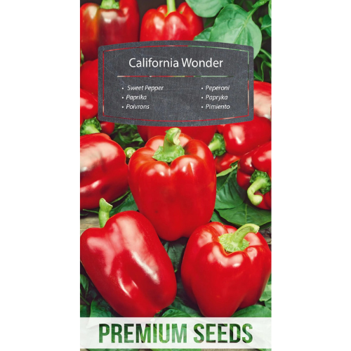 Paprika -  California Wonder -80 frön